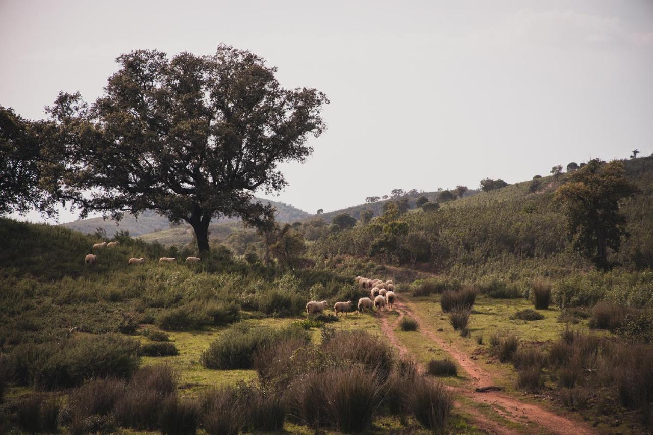 Vila Quinta Do Freixo Benafim Exteriér fotografie
