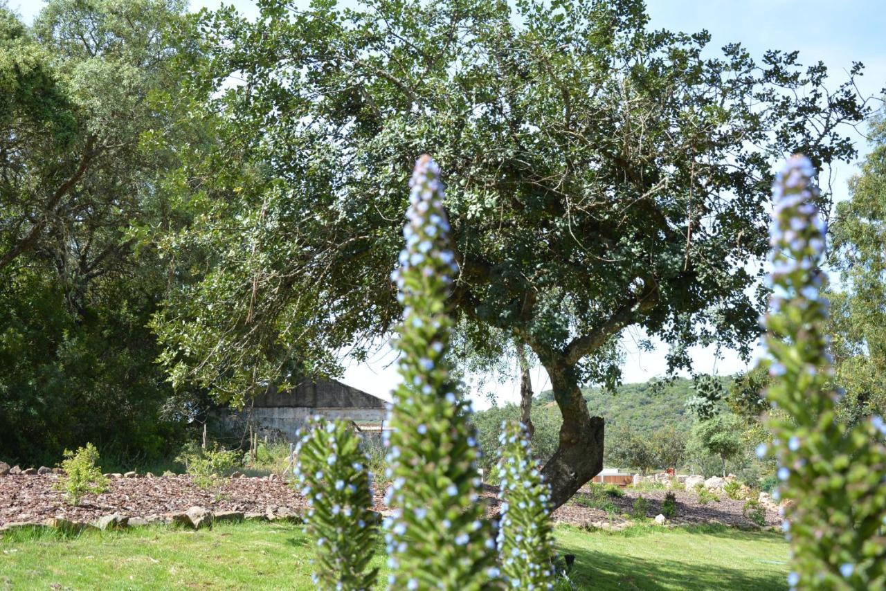 Vila Quinta Do Freixo Benafim Exteriér fotografie